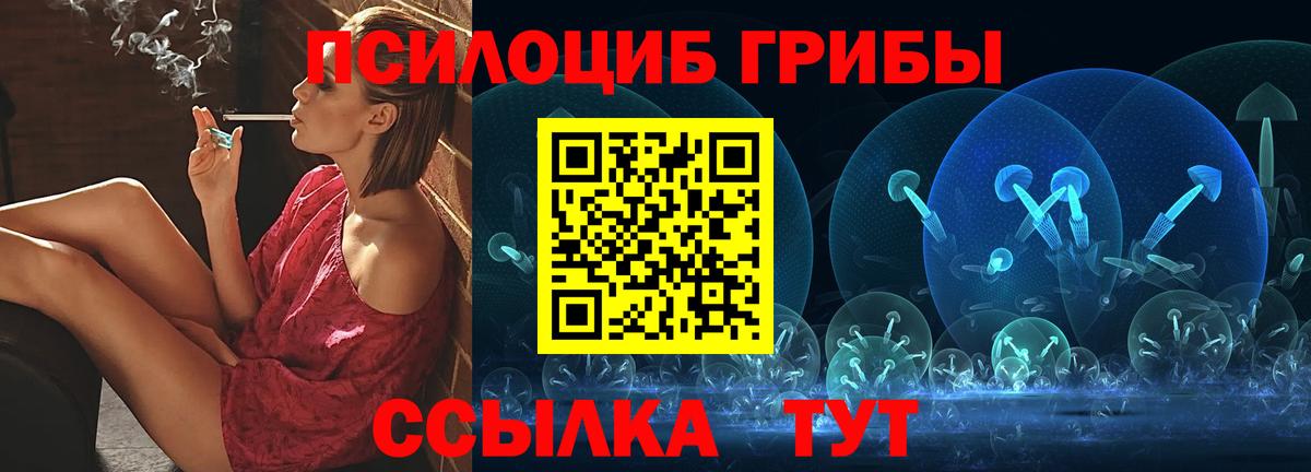 Псилоцибиновые грибы Psilocybine cubensis Наро-Фоминск